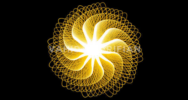 وحید شریفیان وحید شریفیان