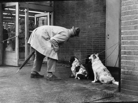 آقای اولو و مسئله‌ی پرسوناژ در سینمای ژاک تاتی